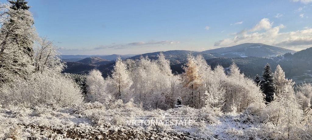 Działka budowlana 3,57&nbsp;ha, Stryszawa - zdjęcie 1