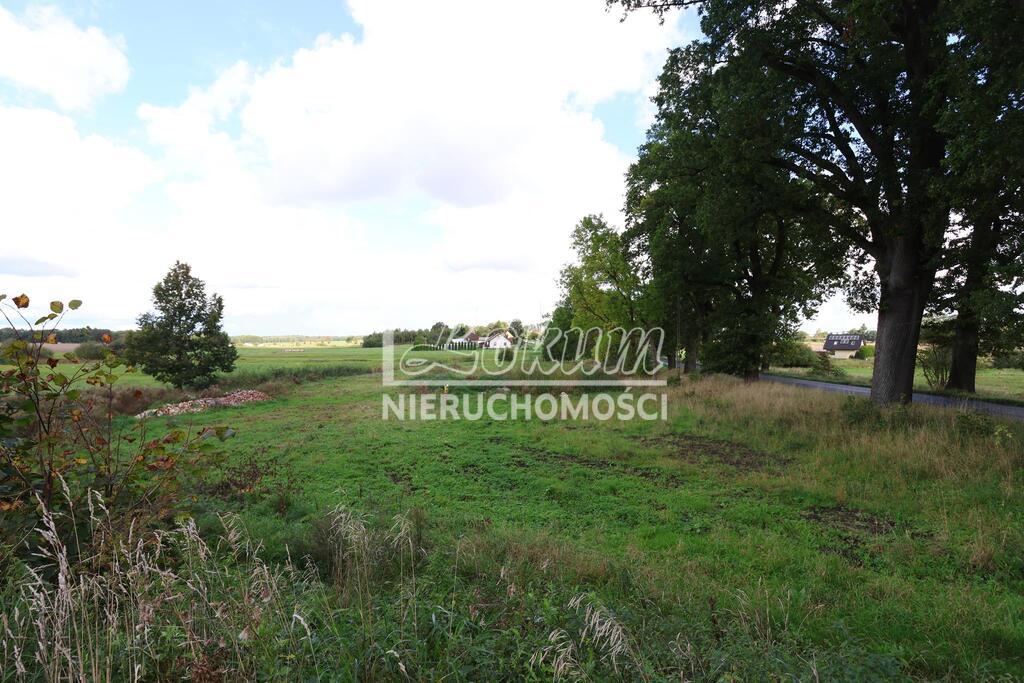 Działka budowlana 1027 m², Dębice - zdjęcie 4