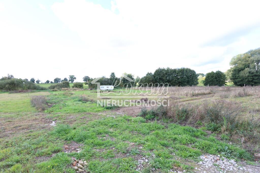 Działka rolna 1699 m², Dębice - zdjęcie 5