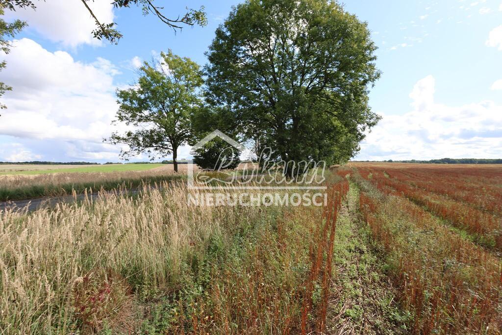 Działka rolna 1699&nbsp;m², Dębice - zdjęcie 6