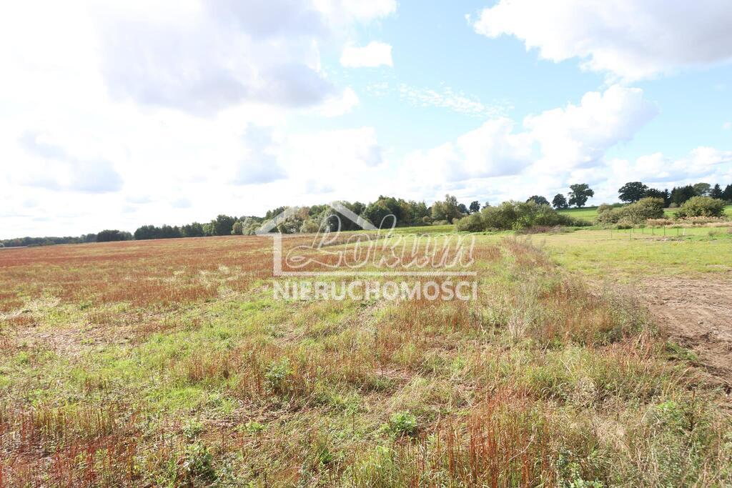 Działka rolna 1699&nbsp;m², Dębice - zdjęcie 3