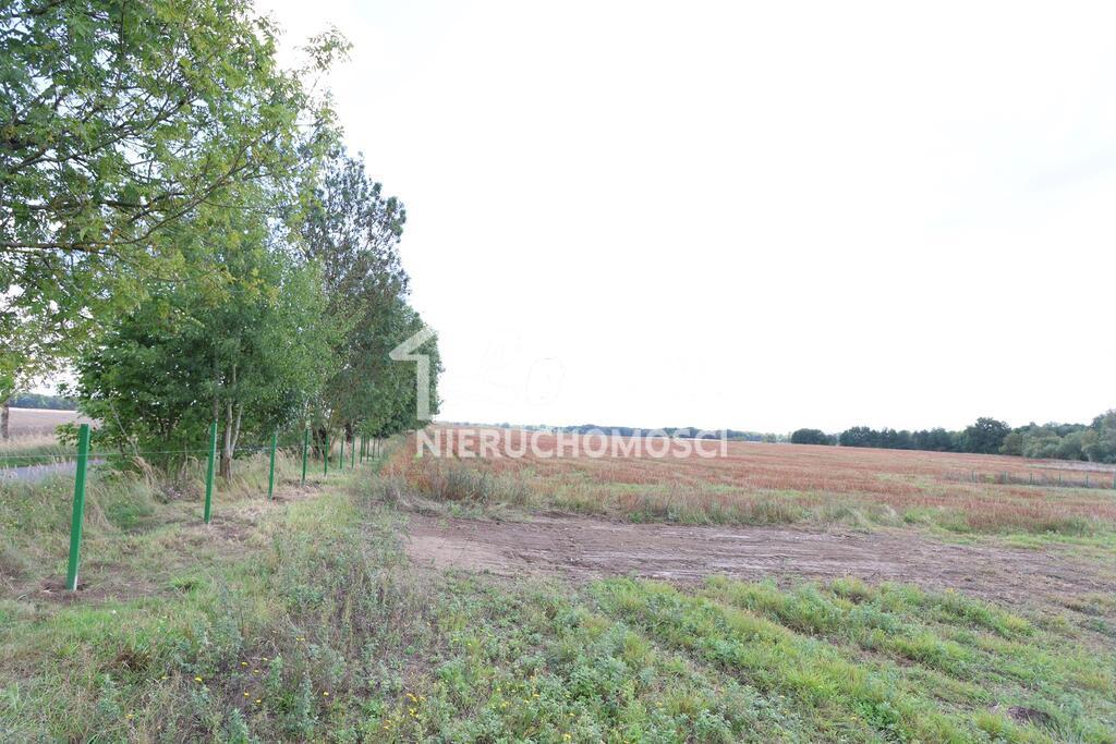 Działka rolna 1699 m², Dębice - zdjęcie 4