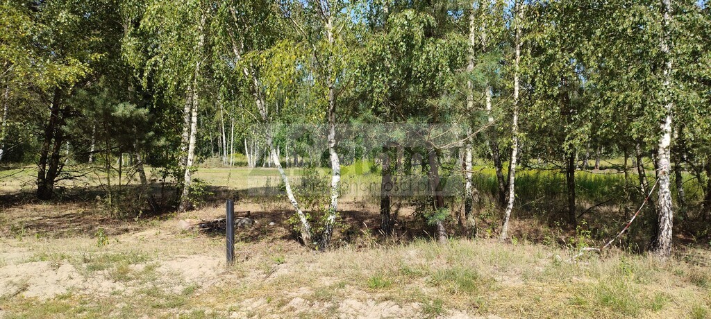 Działka budowlana 1500&nbsp;m², Błonie - zdjęcie 1