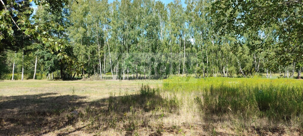 Działka budowlana 1500&nbsp;m², Błonie - zdjęcie 3