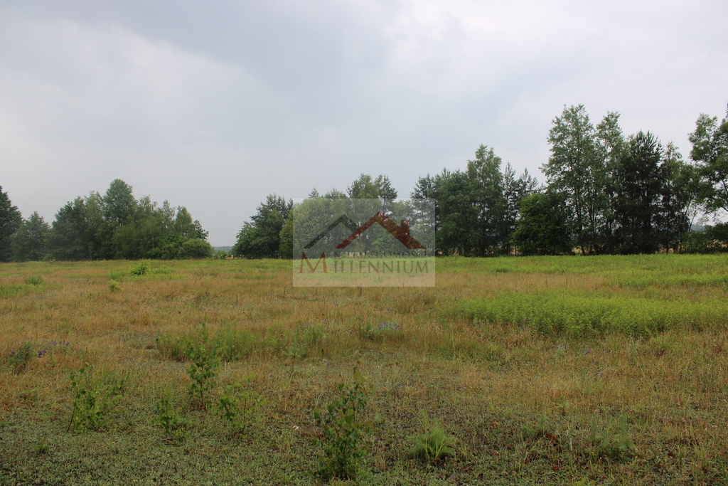 Działka inwestycyjna 4,65&nbsp;ha, Rasztów - zdjęcie 2