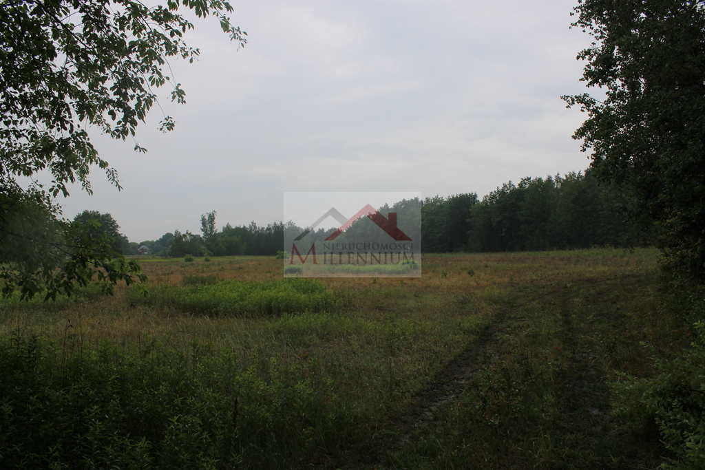 Działka inwestycyjna 4,65&nbsp;ha, Rasztów - zdjęcie 3