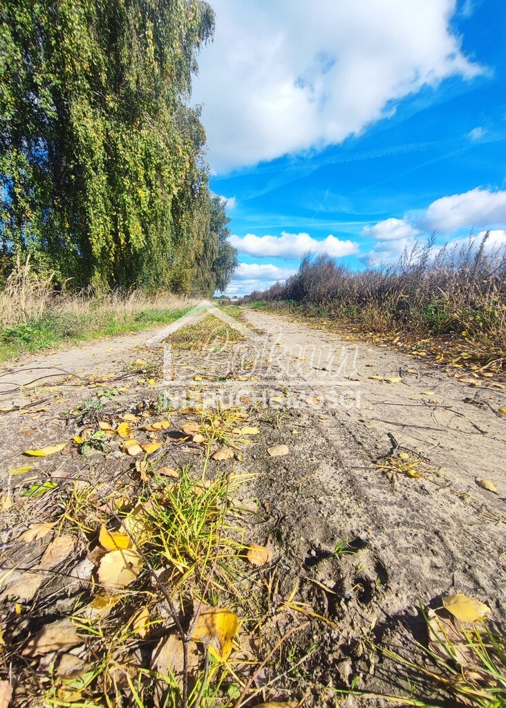 Działka budowlana 1477&nbsp;m², Grabowo - zdjęcie 8