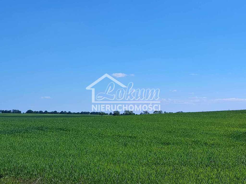 Działka budowlana 1482&nbsp;m², Grabowo - zdjęcie 9