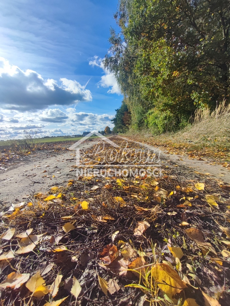 Działka budowlana 1482&nbsp;m², Grabowo - zdjęcie 7
