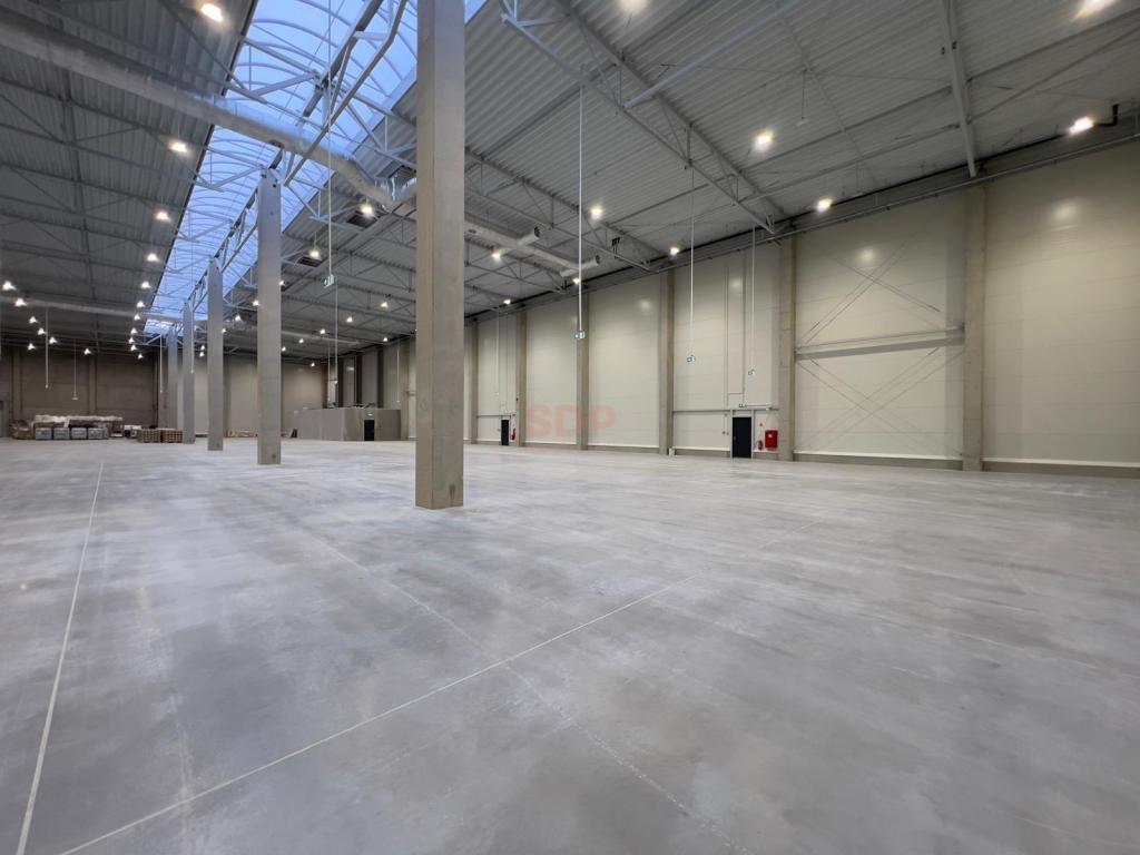 Magazyn do wynajęcia, 1800 m², Domasław - zdjęcie 9
