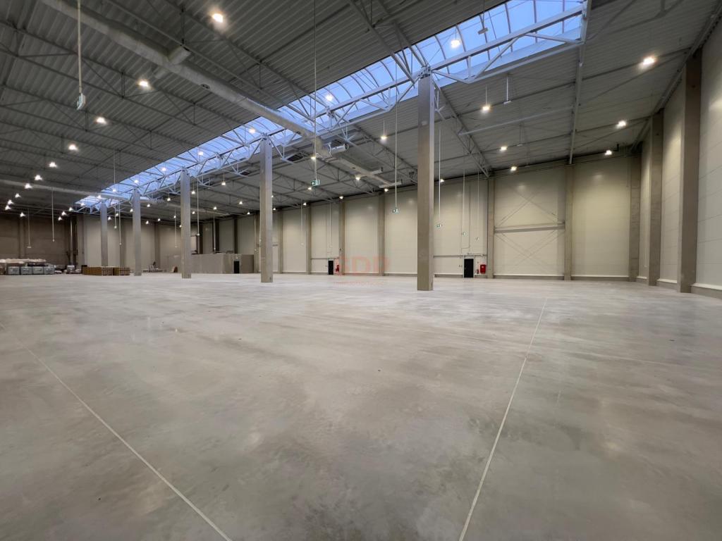 Magazyn do wynajęcia, 1800 m², Domasław - zdjęcie 8