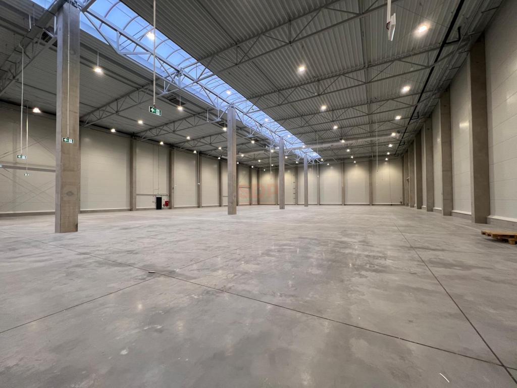 Magazyn do wynajęcia, 1800 m², Domasław - zdjęcie 7