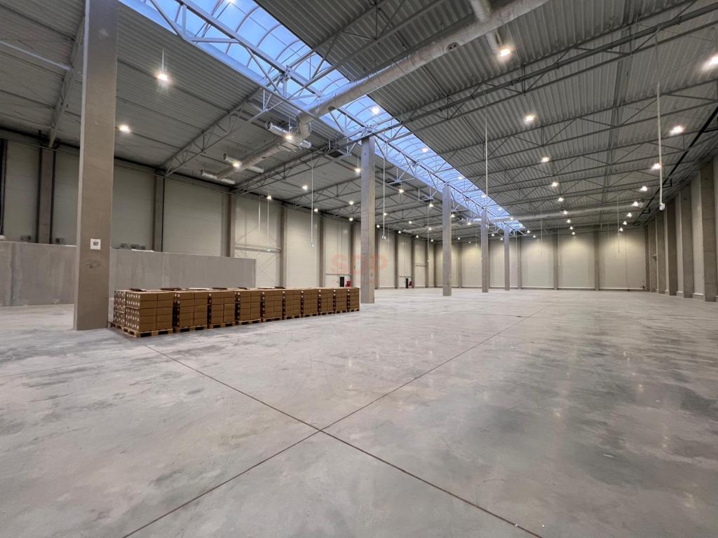 Magazyn do wynajęcia, 1800 m², Domasław - zdjęcie 6