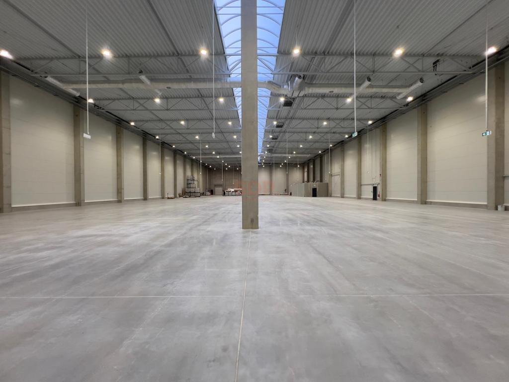 Magazyn do wynajęcia, 1800 m², Domasław - zdjęcie 10
