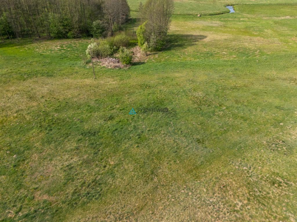 Działka budowlana 1391 m² - Dąbki k. Bytowa - zdjęcie 9