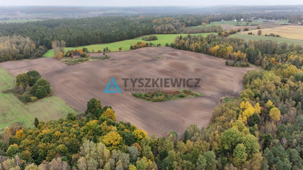 Pięknie położona działka w miejscowości Borowina - zdjęcie 11