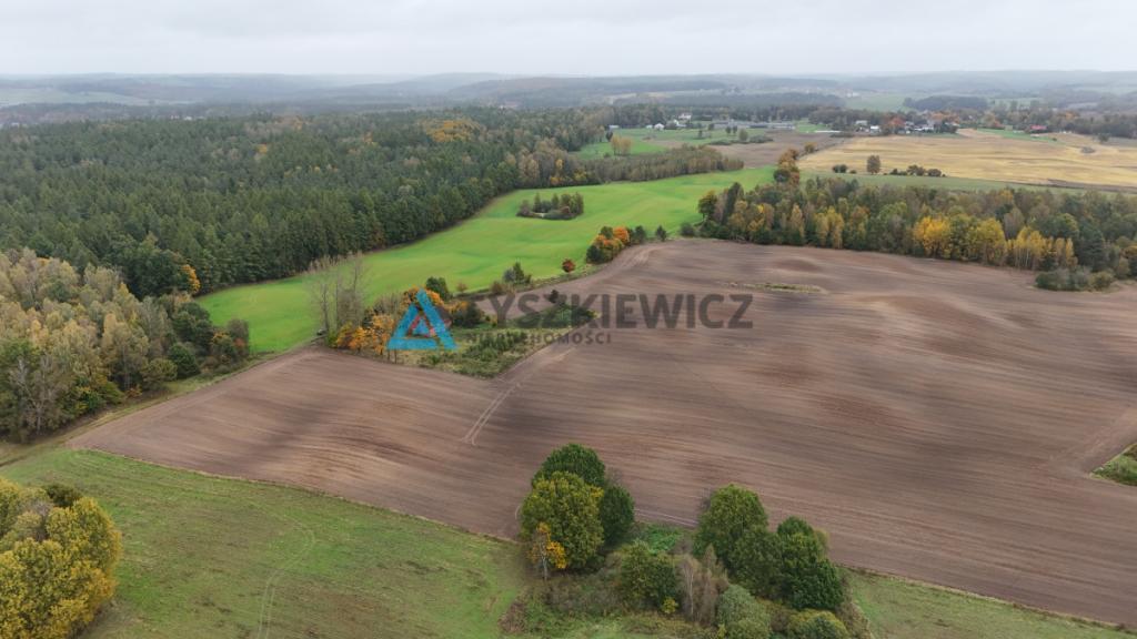 Pięknie położona działka w miejscowości Borowina - zdjęcie 9
