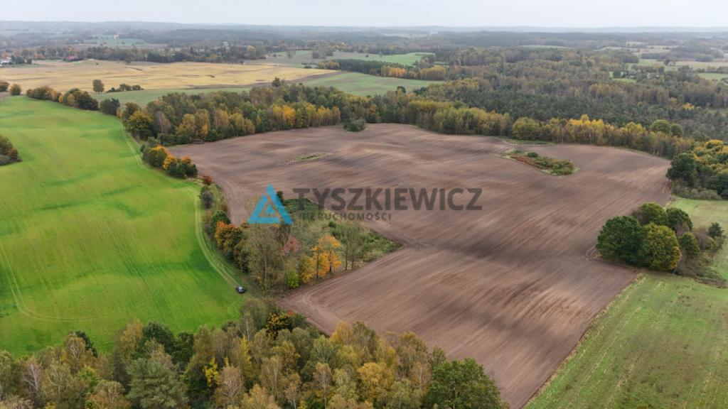 Pięknie położona działka w miejscowości Borowina - zdjęcie 2