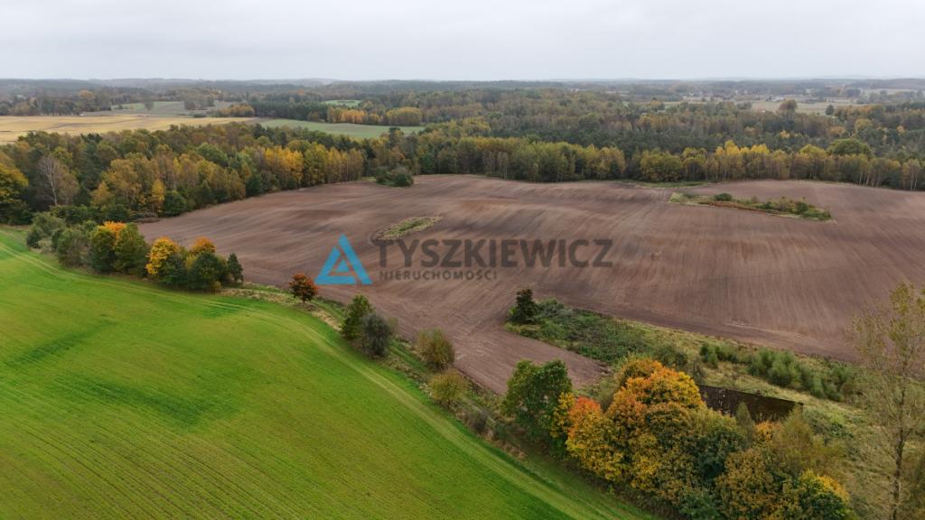 Pięknie położona działka w miejscowości Borowina - zdjęcie 4