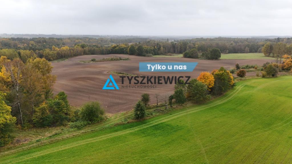 Pięknie położona działka w miejscowości Borowina - zdjęcie 1
