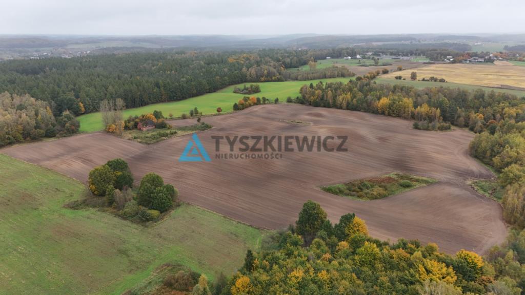 Pięknie położona działka w miejscowości Borowina - zdjęcie 10