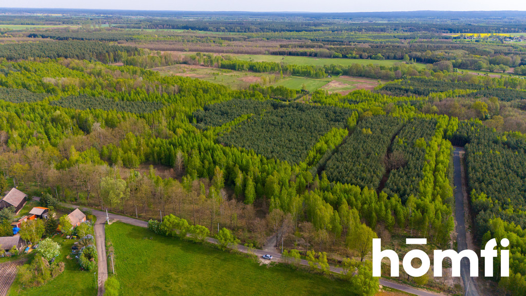 Działka budowlana 2,20 ha, Jaźwiny - zdjęcie 1