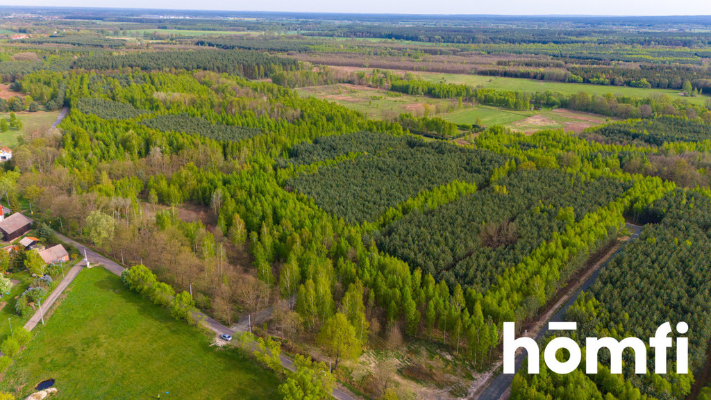 Działka budowlana 2,20 ha, Jaźwiny - zdjęcie 2