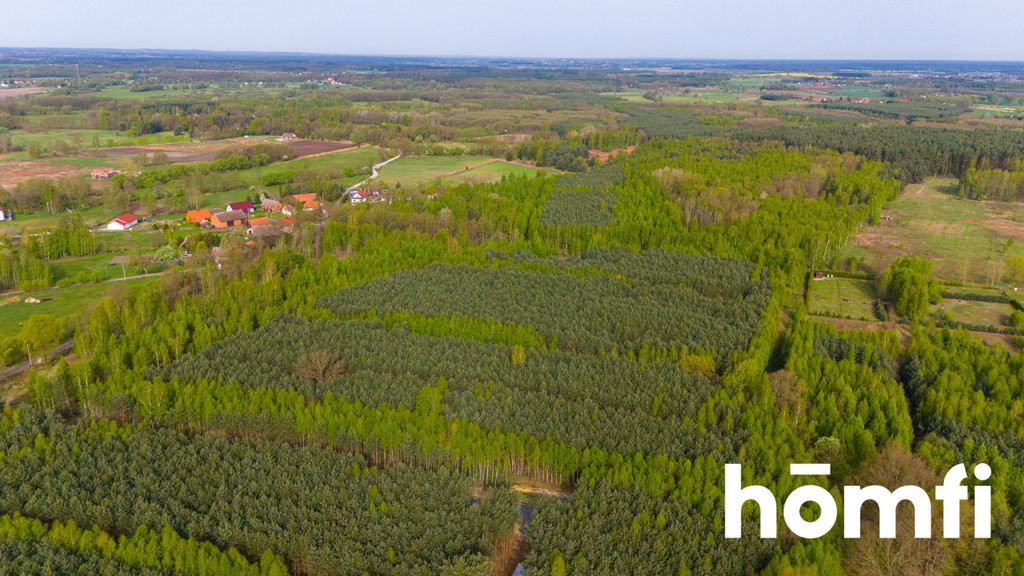 Działka budowlana 2,20 ha, Jaźwiny - zdjęcie 5