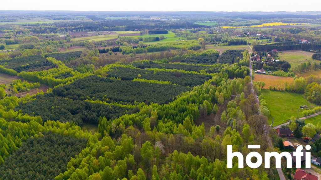 Działka budowlana 2,20 ha, Jaźwiny - zdjęcie 7