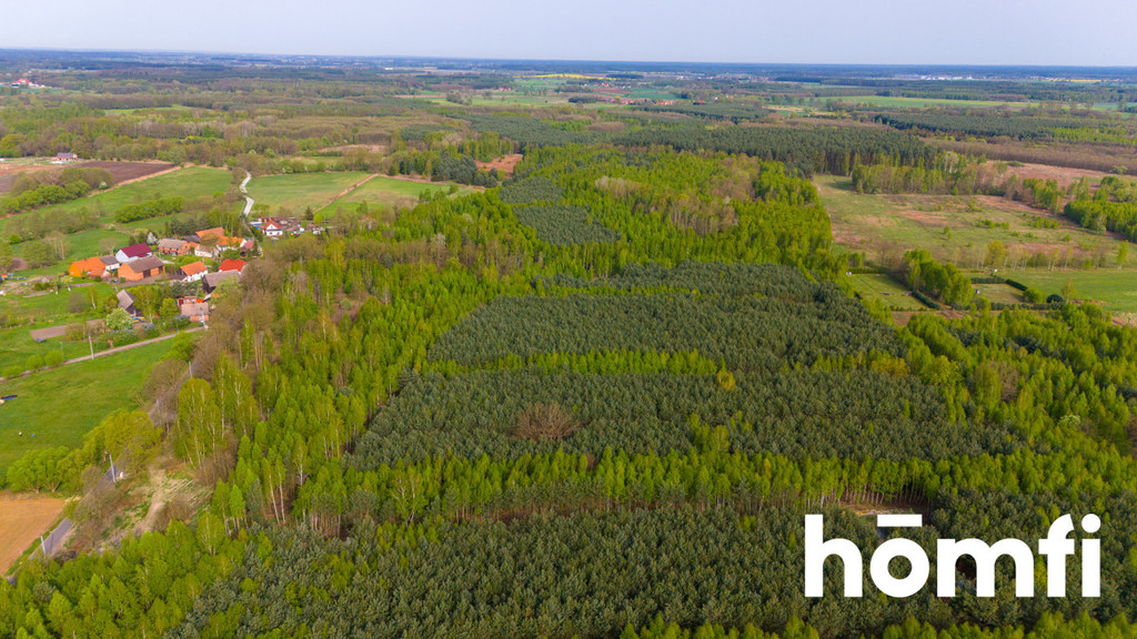 Działka budowlana 2,20 ha, Jaźwiny - zdjęcie 4