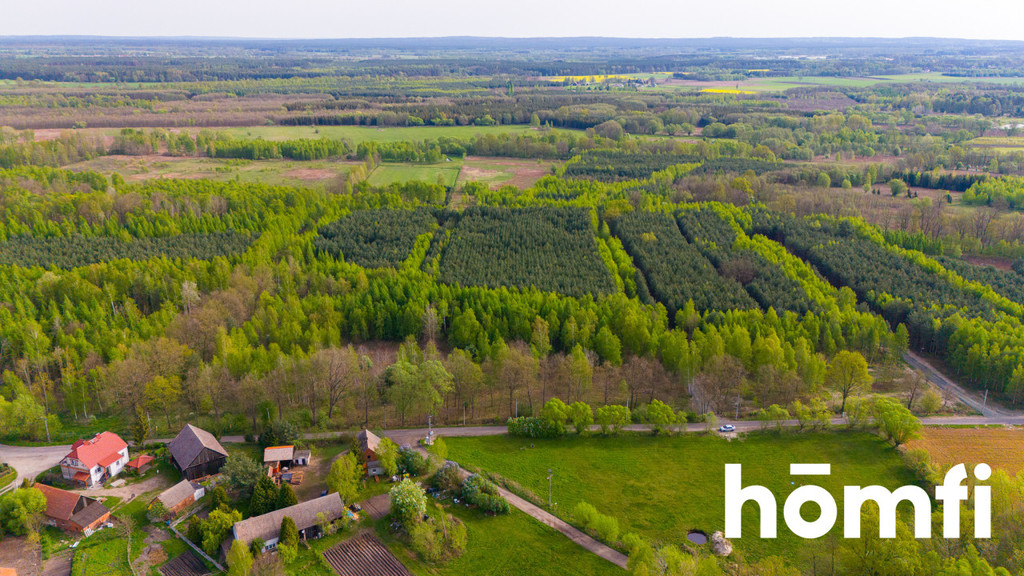 Działka budowlana 2,20 ha, Jaźwiny - zdjęcie 9