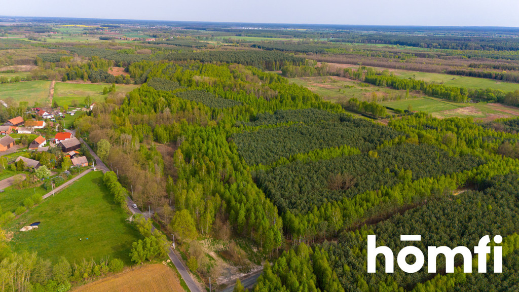 Działka budowlana 2,20 ha, Jaźwiny - zdjęcie 3