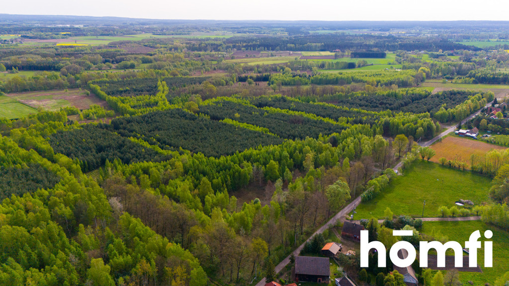 Działka budowlana 2,20 ha, Jaźwiny - zdjęcie 8