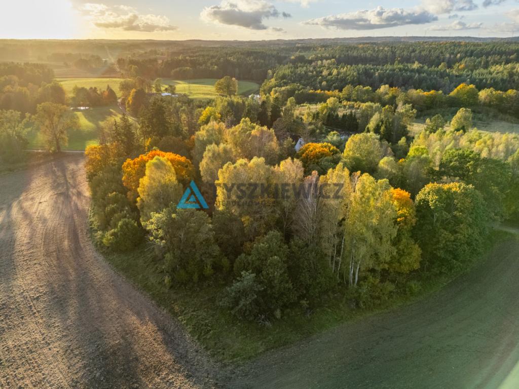 Atrakcyjna działka rolna - Grądzień, gm. Miastko - zdjęcie 8