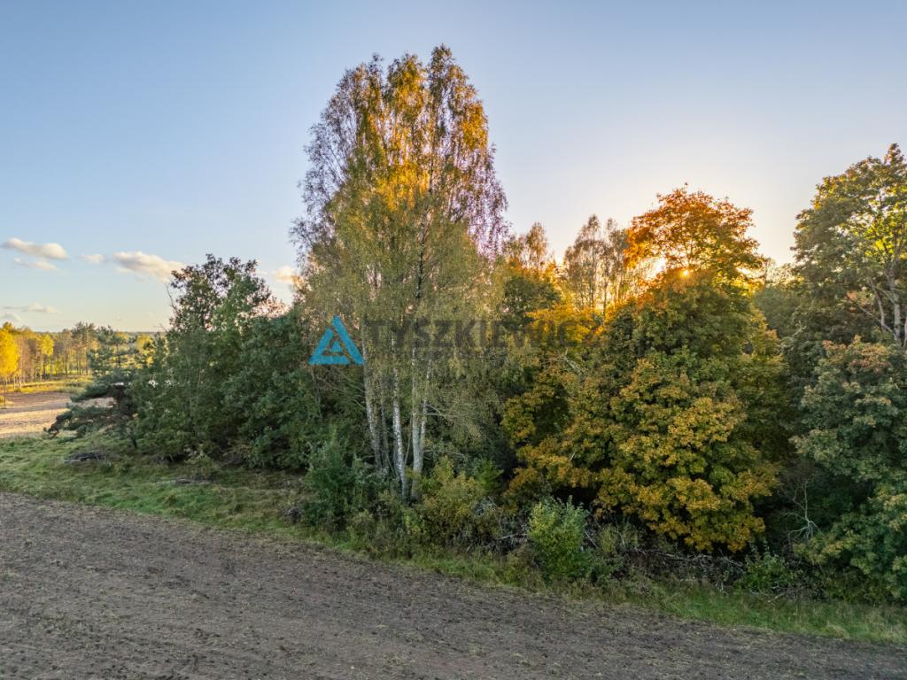 Atrakcyjna działka rolna - Grądzień, gm. Miastko - zdjęcie 10