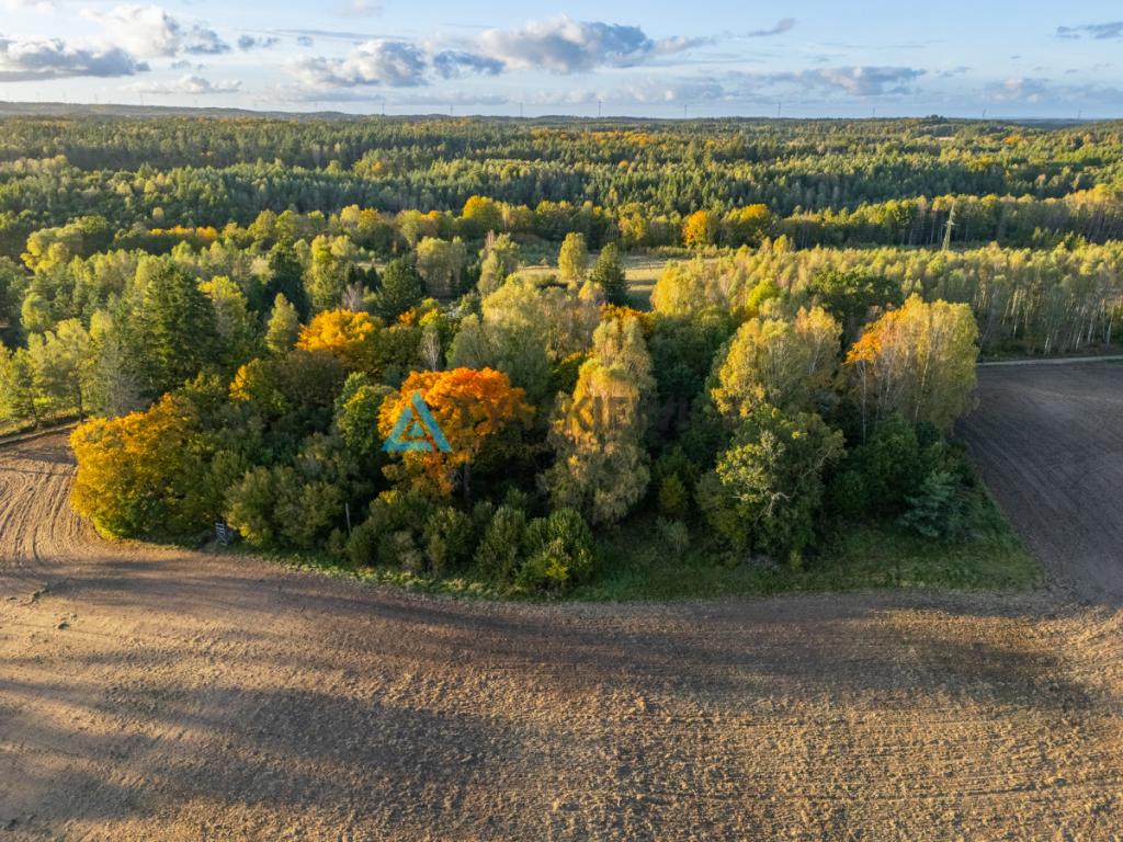 Atrakcyjna działka rolna - Grądzień, gm. Miastko - zdjęcie 9