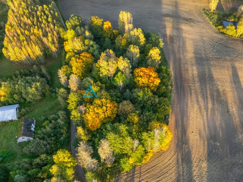 Atrakcyjna działka rolna - Grądzień, gm. Miastko - zdjęcie 16
