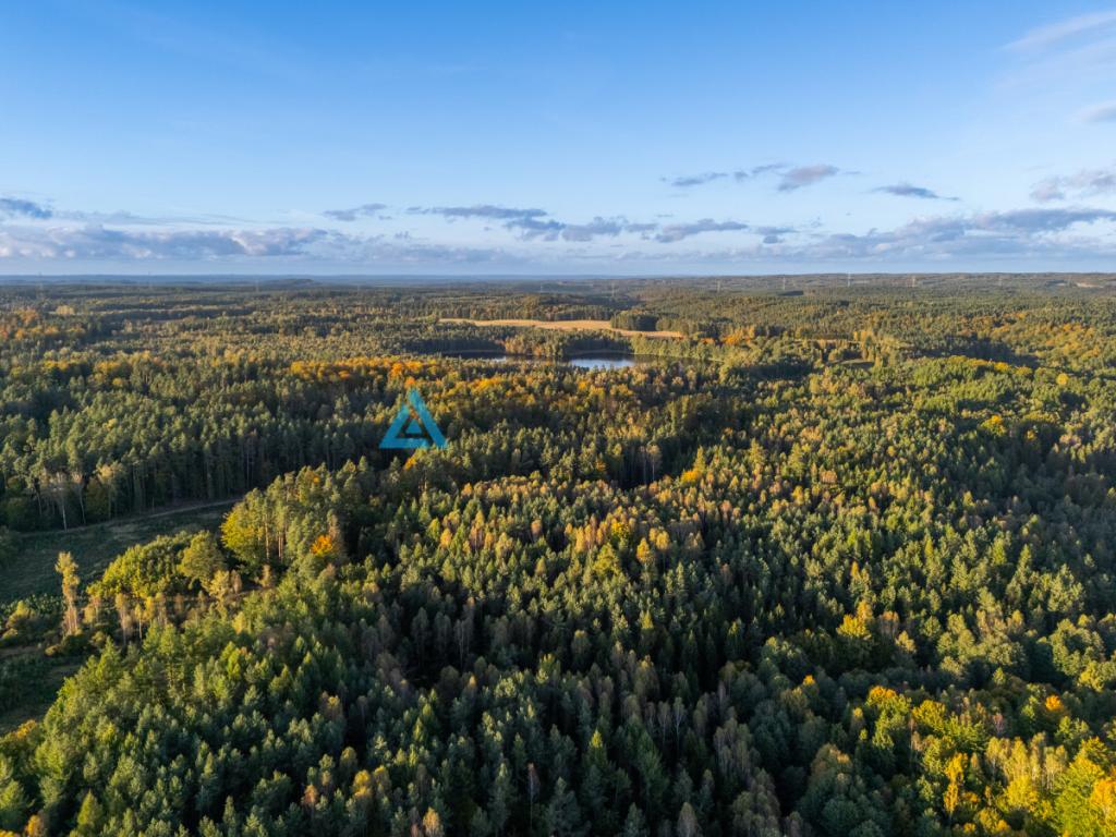 Atrakcyjna działka rolna - Grądzień, gm. Miastko - zdjęcie 19