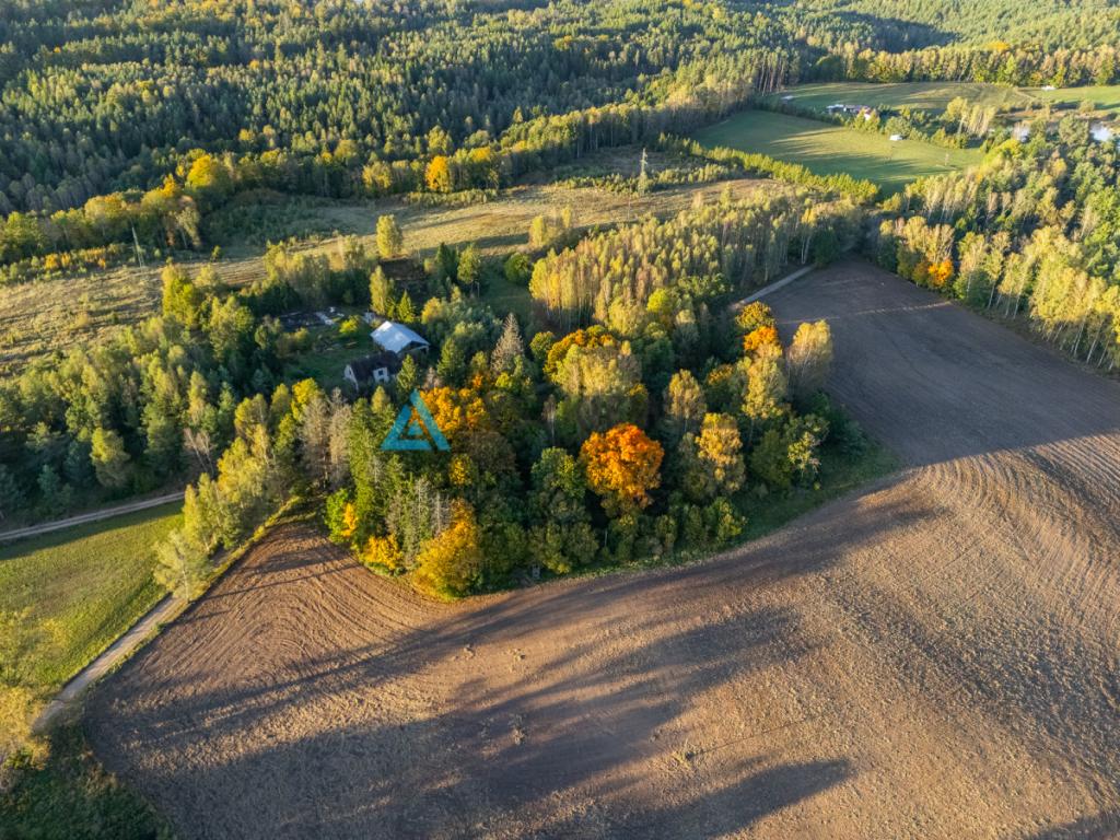 Atrakcyjna działka rolna - Grądzień, gm. Miastko - zdjęcie 5