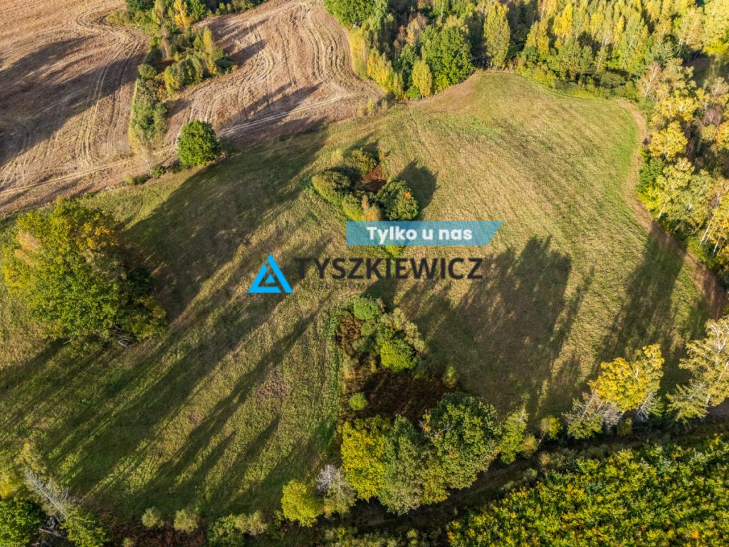 Atrakcyjna oferta ziemi rolnej w sąsiedztwie lasów - zdjęcie 1