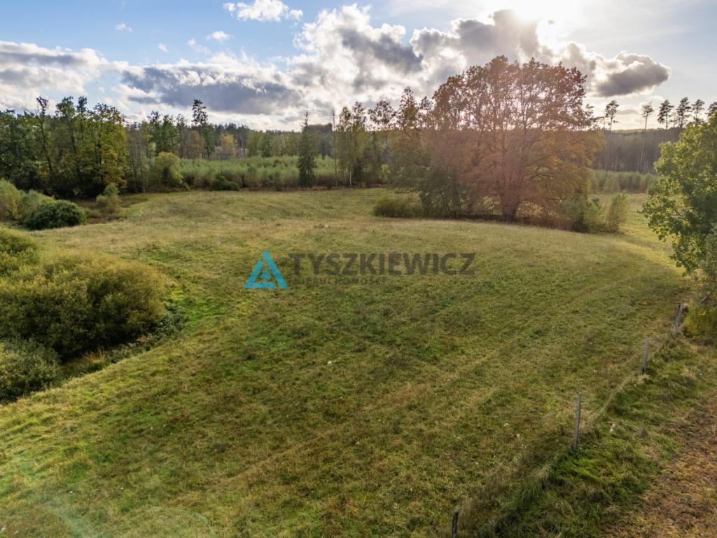 Atrakcyjna oferta ziemi rolnej w sąsiedztwie lasów - zdjęcie 8