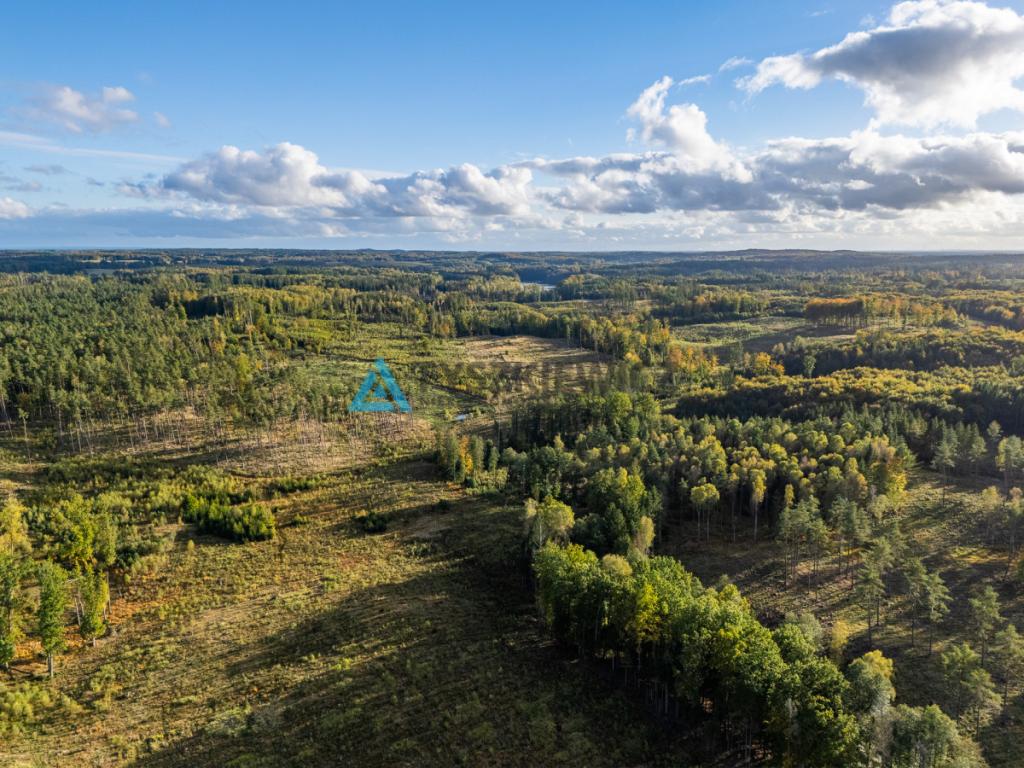 Atrakcyjna oferta ziemi rolnej w sąsiedztwie lasów - zdjęcie 19