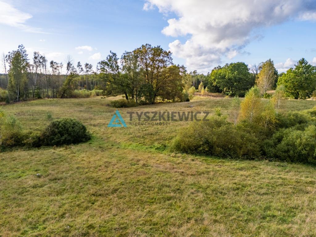 Atrakcyjna oferta ziemi rolnej w sąsiedztwie lasów - zdjęcie 9