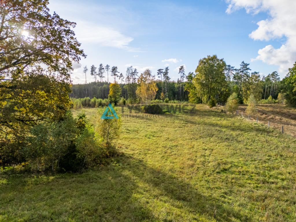 Atrakcyjna oferta ziemi rolnej w sąsiedztwie lasów - zdjęcie 10