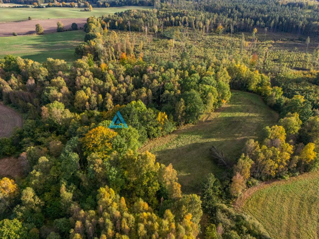 Atrakcyjna oferta ziemi rolnej w sąsiedztwie lasów - zdjęcie 3