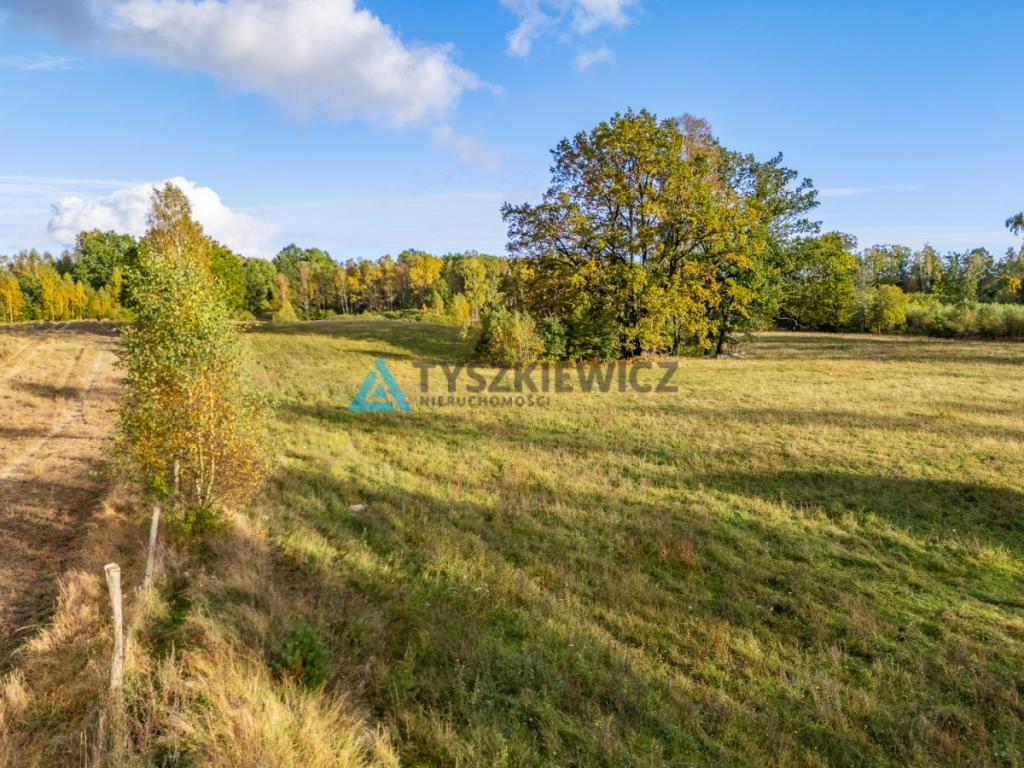 Atrakcyjna oferta ziemi rolnej w sąsiedztwie lasów - zdjęcie 14