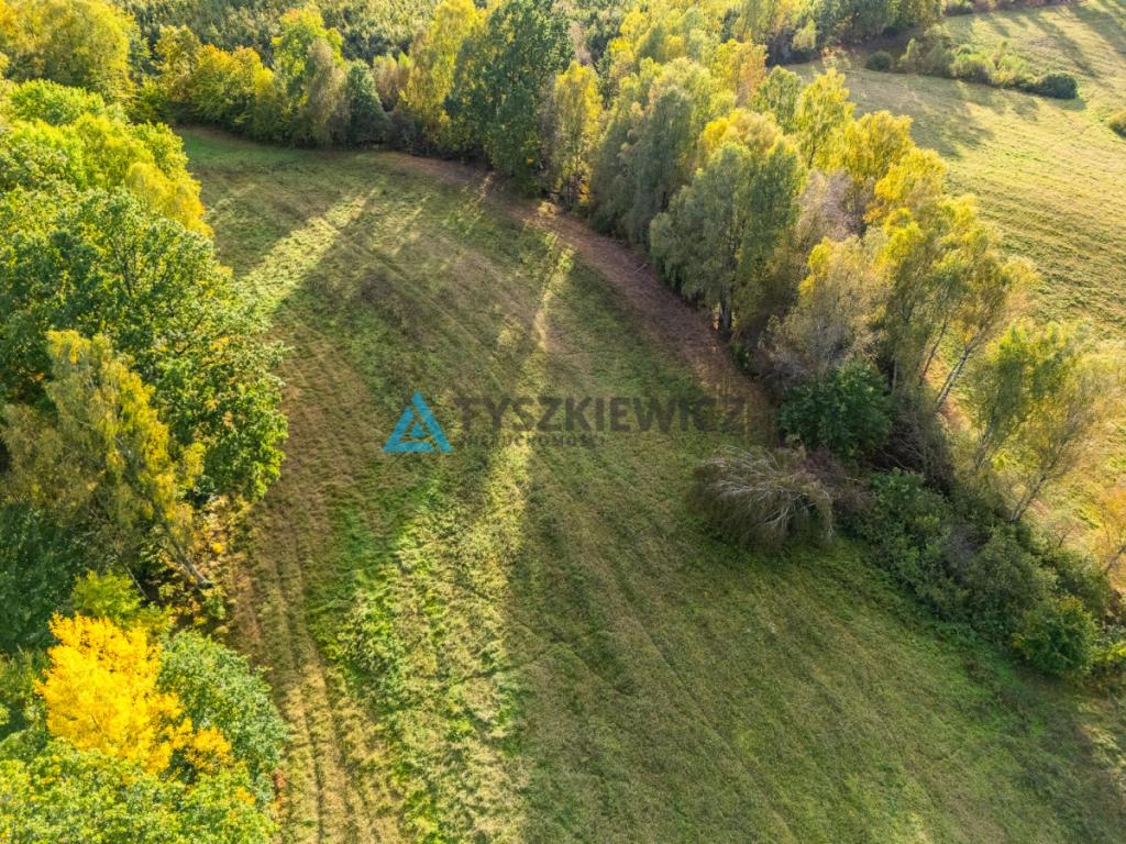 Atrakcyjna oferta ziemi rolnej w sąsiedztwie lasów - zdjęcie 28