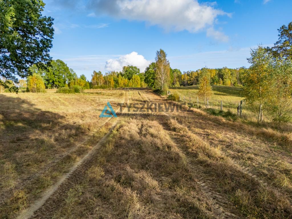 Atrakcyjna oferta ziemi rolnej w sąsiedztwie lasów - zdjęcie 29
