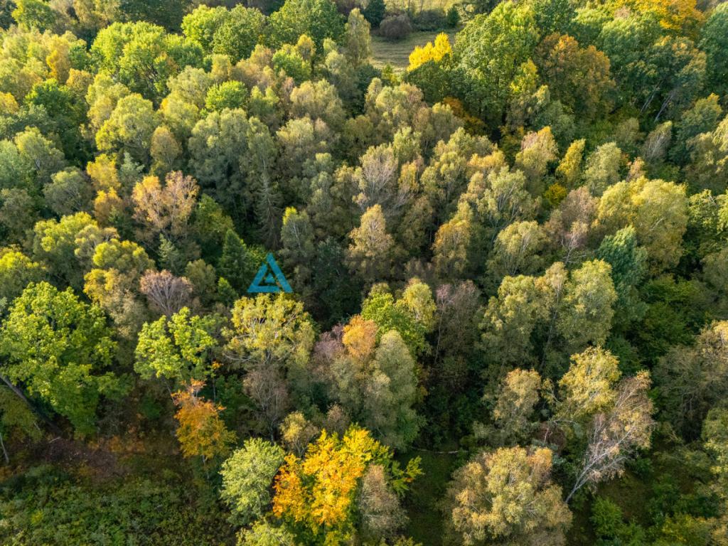 Atrakcyjna oferta ziemi rolnej w sąsiedztwie lasów - zdjęcie 5
