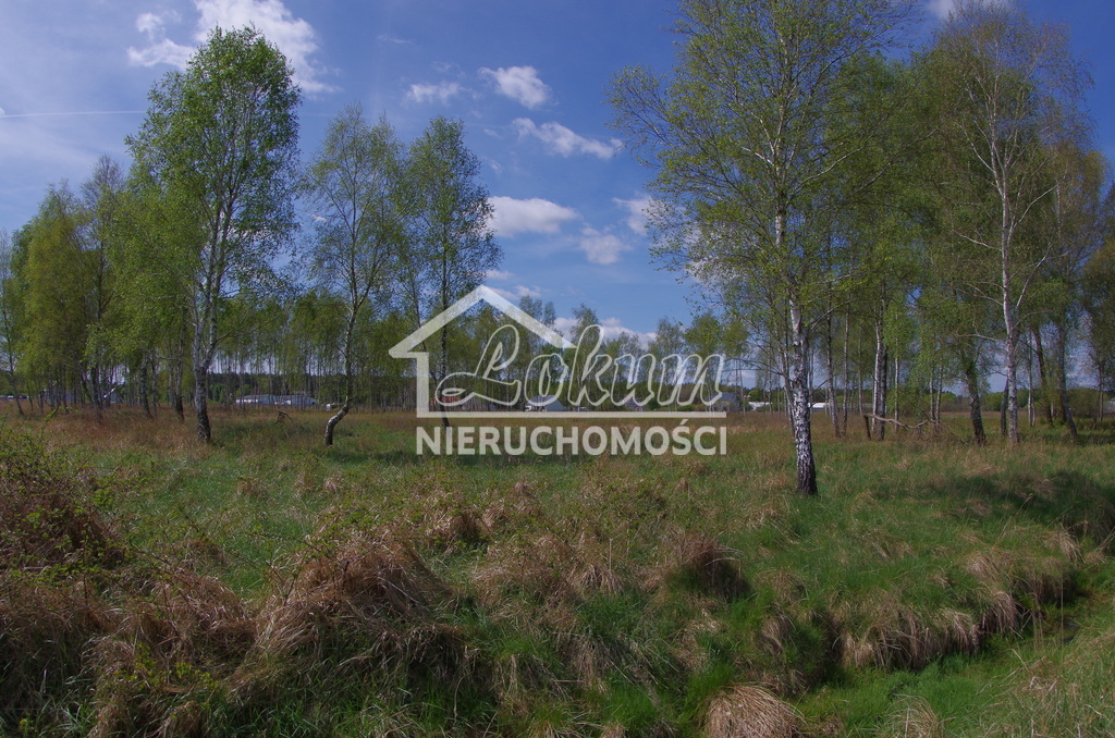 Działka budowlana 2103&nbsp;m², Niedźwiedź - zdjęcie 2